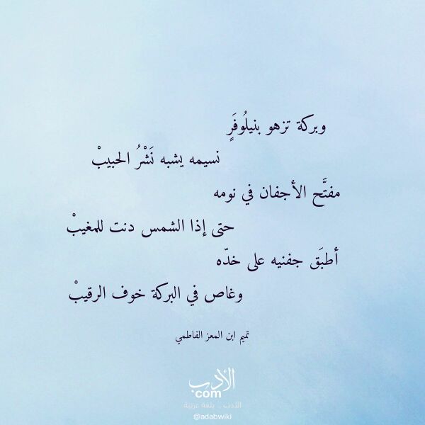 اقتباس من قصيدة وبركة تزهو بنيلوفر لـ تميم ابن المعز الفاطمي