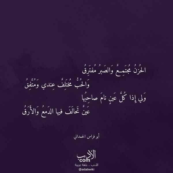 اقتباس من قصيدة الحزن مجتمع والصبر مفترق لـ أبو فراس الحمداني