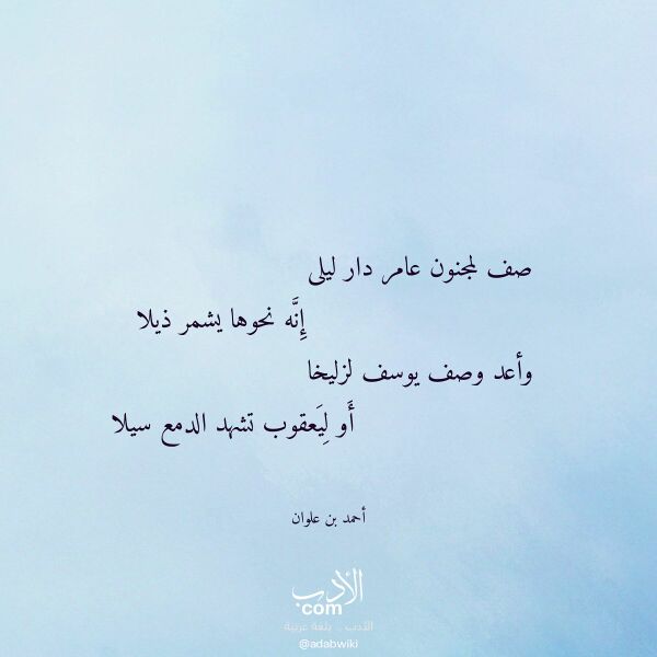 اقتباس من قصيدة صف لمجنون عامر دار ليلى لـ أحمد بن علوان