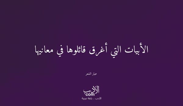 الأبيات التي أغرق قائلوها في معانيها - عيار الشعر