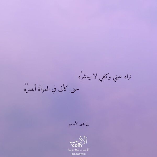 اقتباس من قصيدة تراه عيني وكفي لا يباشره لـ ابن مجير الأندلسي