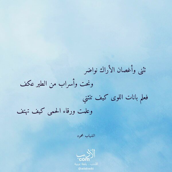اقتباس من قصيدة تثنى وأغصان الأراك نواضر لـ الشهاب محمود