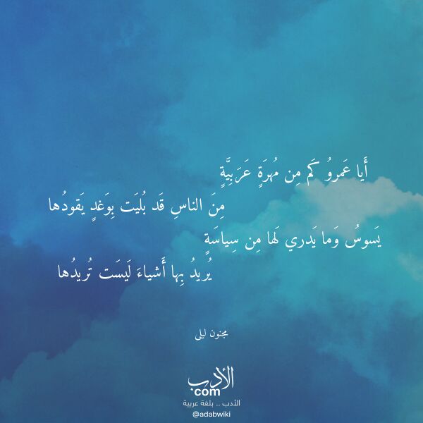اقتباس من قصيدة أيا عمرو كم من مهرة عربية لـ مجنون ليلى