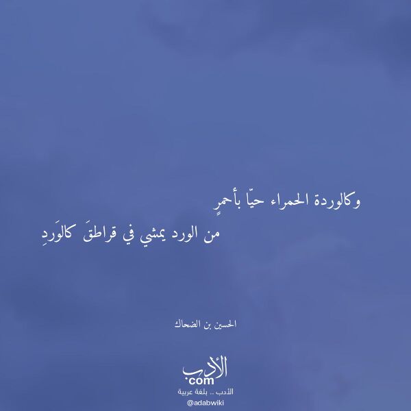 اقتباس من قصيدة وكالوردة الحمراء حيا بأحمر لـ الحسين بن الضحاك