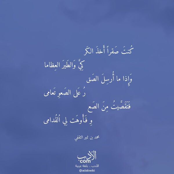 اقتباس من قصيدة كنت صقرا أخذ الكر لـ محمد بن نمير الثقفي