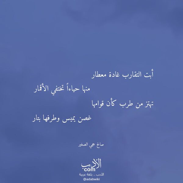 اقتباس من قصيدة أبت التقارب غادة معطار لـ صالح حجي الصغير