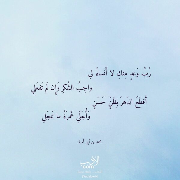 اقتباس من قصيدة رب وعد منك لا أنساه لي لـ محمد بن أبي أمية