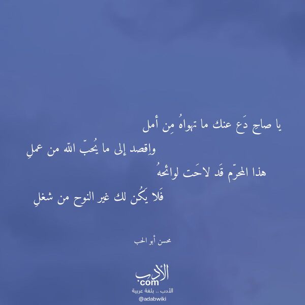 اقتباس من قصيدة يا صاح دع عنك ما تهواه من أمل لـ محسن أبو الحب