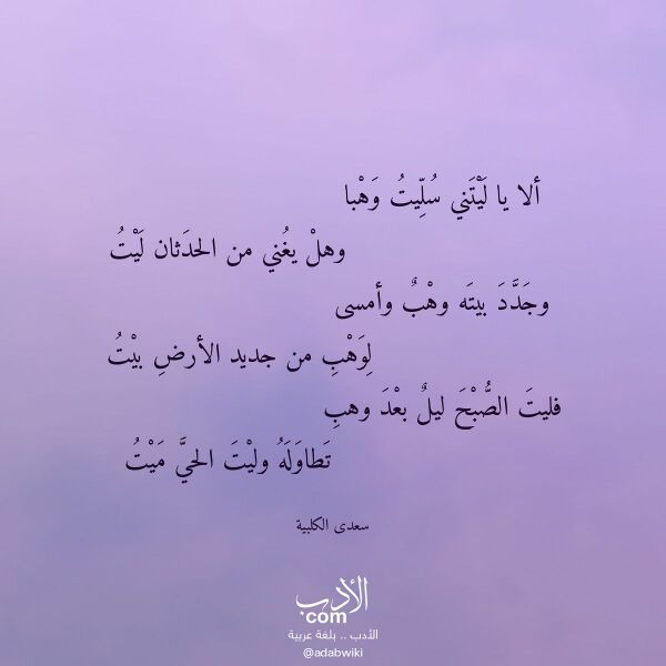 اقتباس من قصيدة ألا يا ليتني سليت وهبا لـ سعدى الكلبية