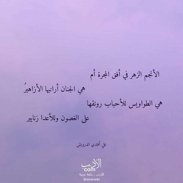 اقتباس من قصيدة الأنجم الزهر في أفق المجرة أم لـ علي أفندي الدرويش
