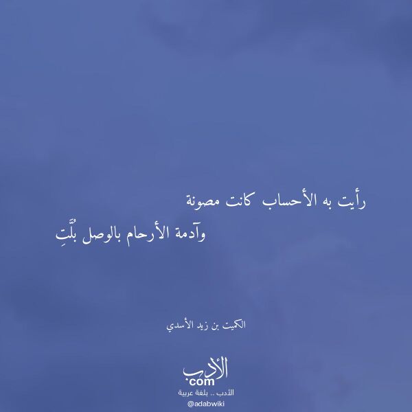 اقتباس من قصيدة رأيت به الأحساب كانت مصونة لـ الكميت بن زيد الأسدي