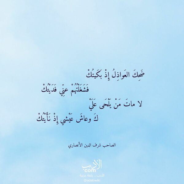 اقتباس من قصيدة ضحك العواذل إذ بكيتك لـ الصاحب شرف الدين الأنصاري