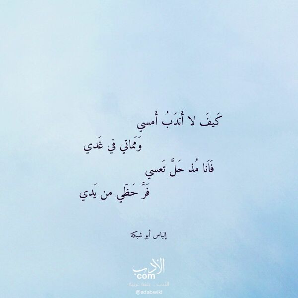 اقتباس من قصيدة كيف لا أندب أمسي لـ إلياس أبو شبكة