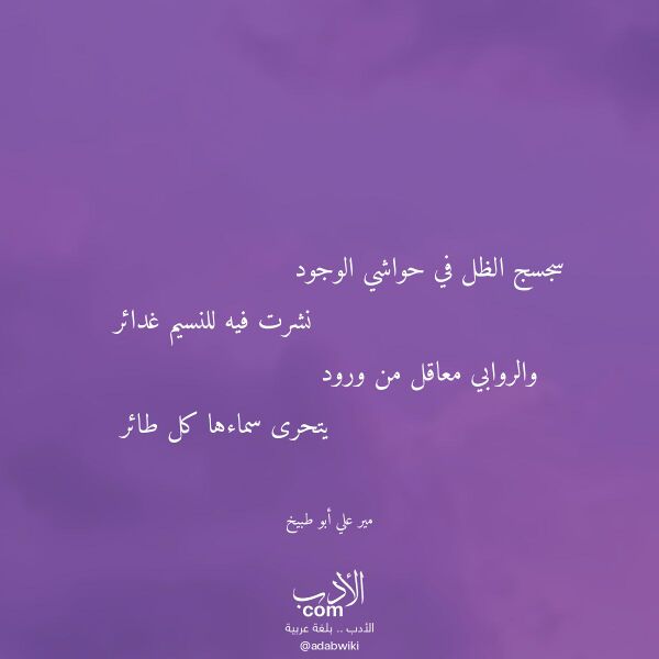 اقتباس من قصيدة سجسج الظل في حواشي الوجود لـ مير علي أبو طبيخ