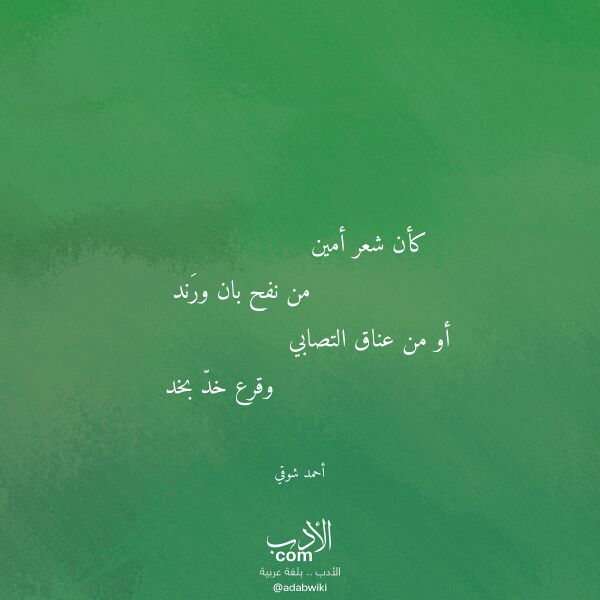 اقتباس من قصيدة كأن شعر أمين لـ أحمد شوقي