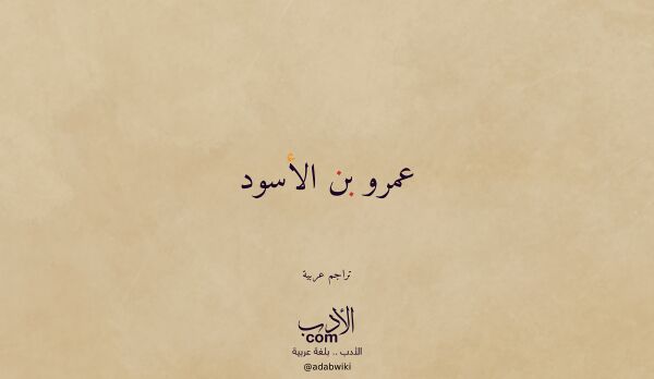 تعريف وتراجم لـ عمرو بن الأسود