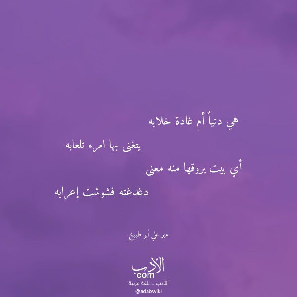 اقتباس من قصيدة هي دنيا أم غادة خلابه لـ مير علي أبو طبيخ