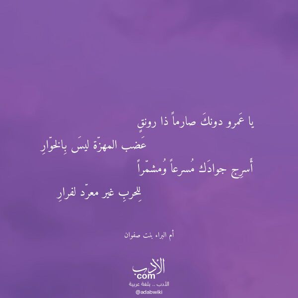 اقتباس من قصيدة يا عمرو دونك صارما ذا رونق لـ أم البراء بنت صفوان
