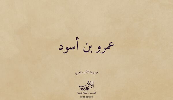 تعريف وتراجم لـ عمرو بن أسود
