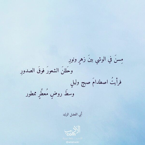 اقتباس من قصيدة مسن في الوشي بين زهر ونور لـ أبي الفضل الوليد