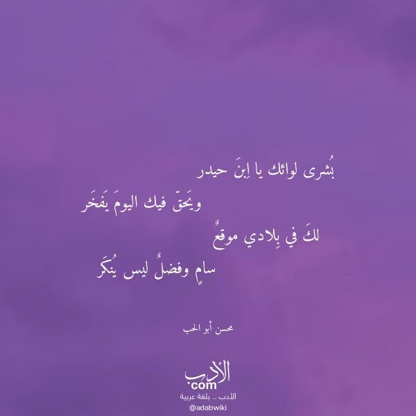 اقتباس من قصيدة بشرى لوائك يا ابن حيدر لـ محسن أبو الحب