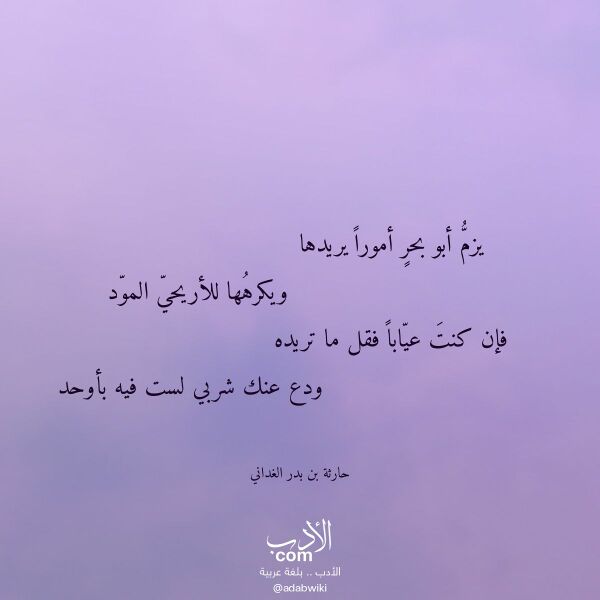 اقتباس من قصيدة يزم أبو بحر أمورا يريدها لـ حارثة بن بدر الغداني