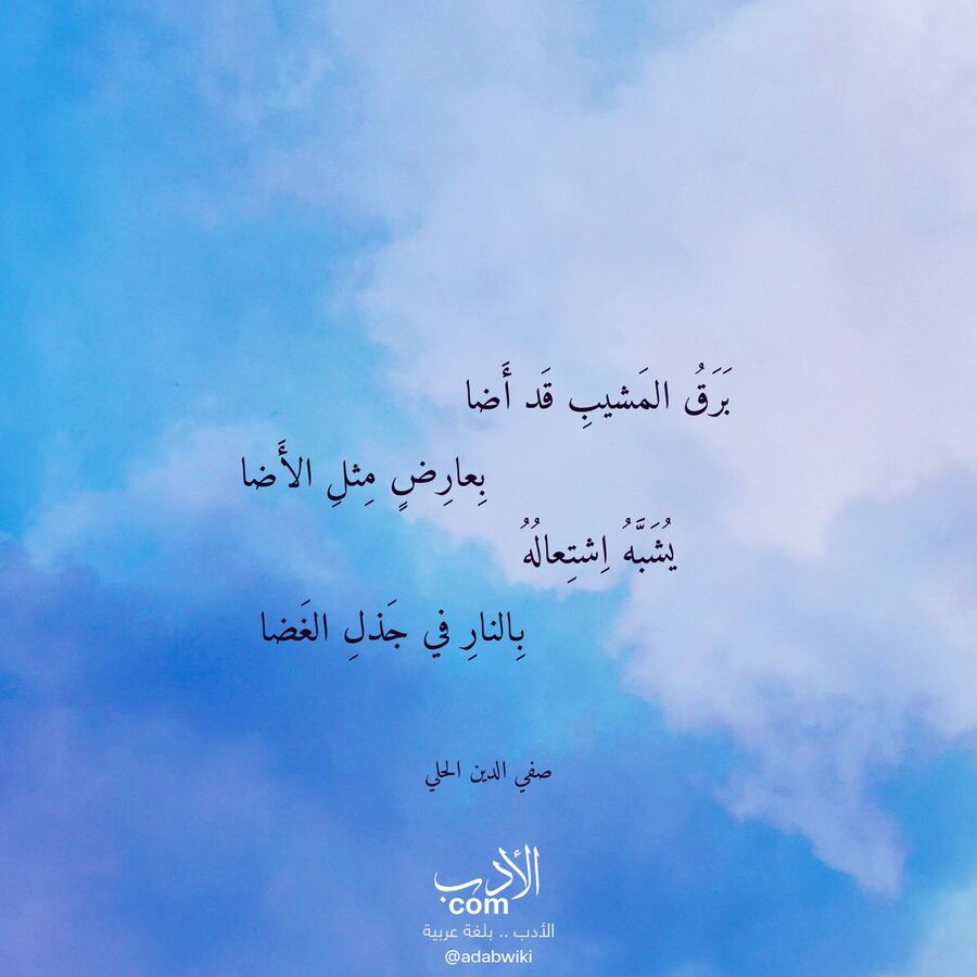 برق المشيب قد أضا - موسوعة الأدب العربي