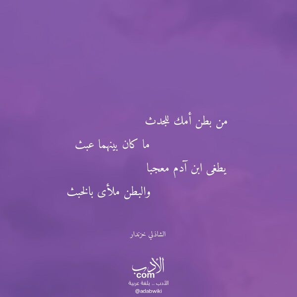 اقتباس من قصيدة من بطن أمك للجدث لـ الشاذلي خزندار
