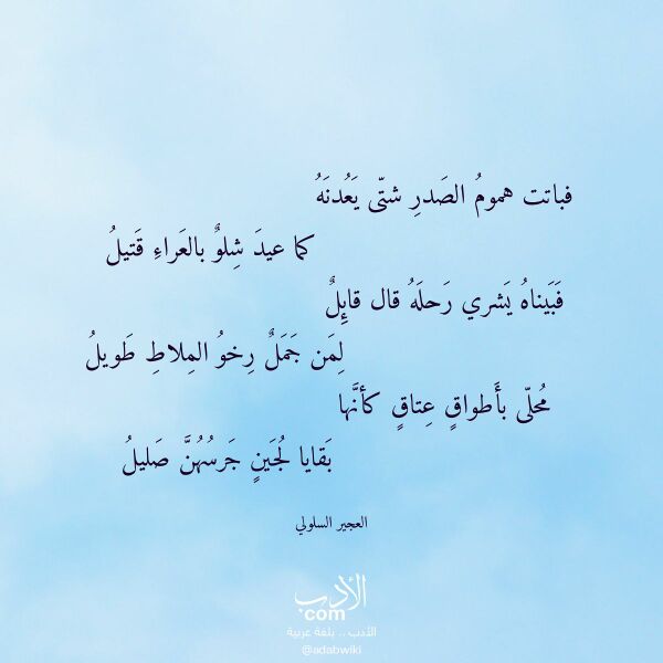 اقتباس من قصيدة فباتت هموم الصدر شتى يعدنه لـ العجير السلولي