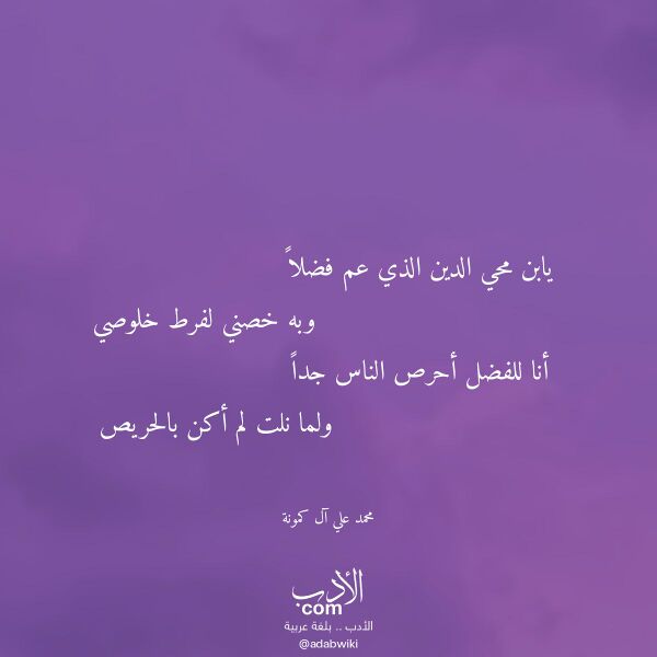 اقتباس من قصيدة يابن محي الدين الذي عم فضلا لـ محمد علي آل كمونة
