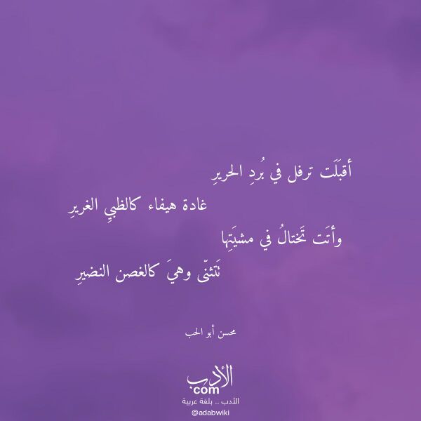 اقتباس من قصيدة أقبلت ترفل في برد الحرير لـ محسن أبو الحب