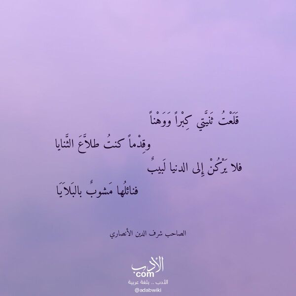 اقتباس من قصيدة قلعت ثنيتي كبرا ووهنا لـ الصاحب شرف الدين الأنصاري