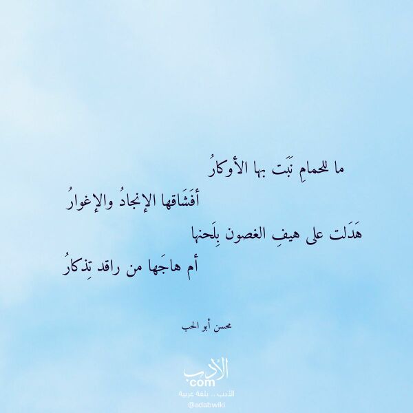 اقتباس من قصيدة ما للحمام نبت بها الأوكار لـ محسن أبو الحب