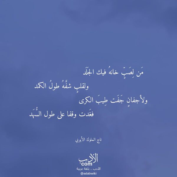 اقتباس من قصيدة من لصب خانه فيك الجلد لـ تاج الملوك الأيوبي