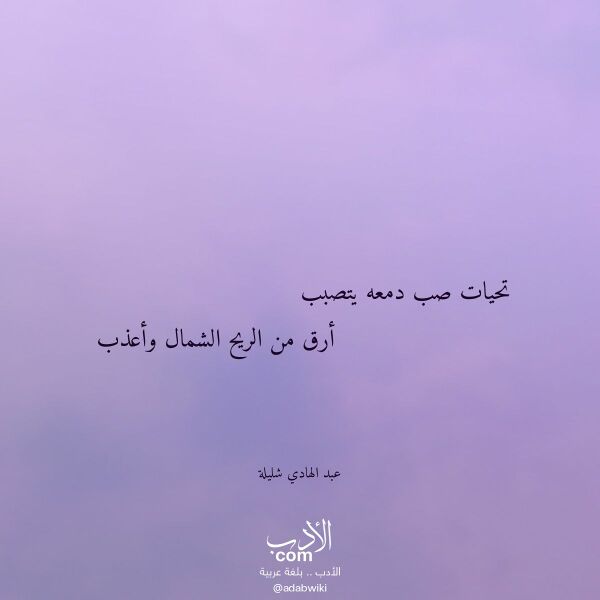 اقتباس من قصيدة تحيات صب دمعه يتصبب لـ عبد الهادي شليلة