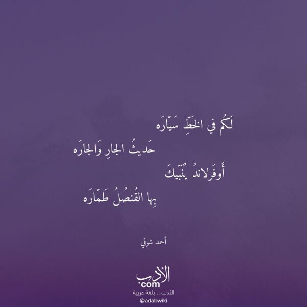 اقتباس من قصيدة لكم في الخط سياره لـ أحمد شوقي