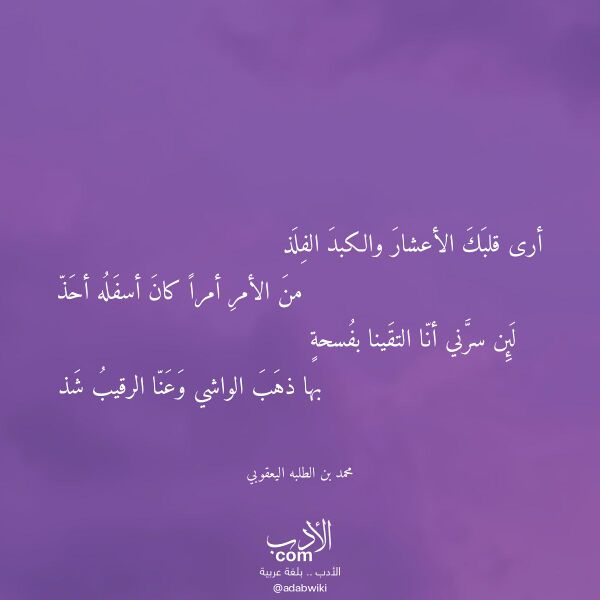 اقتباس من قصيدة أرى قلبك الأعشار والكبد الفلذ لـ محمد بن الطلبه اليعقوبي