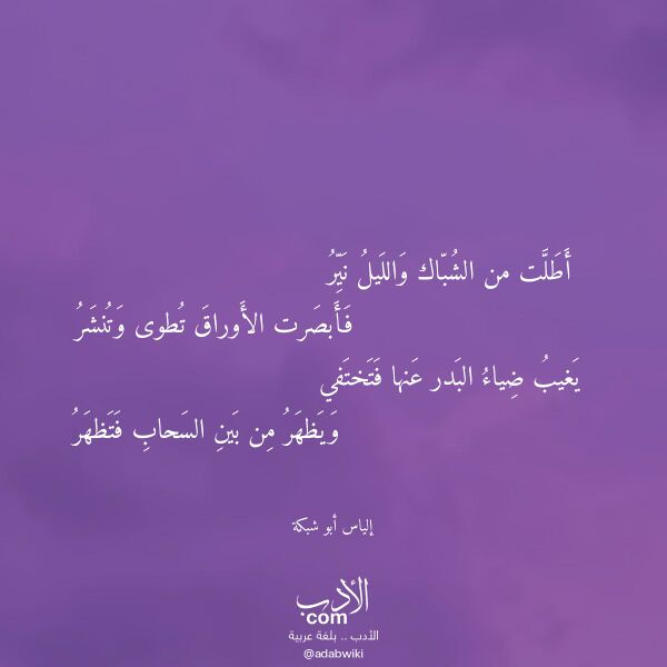 اقتباس من قصيدة أطلت من الشباك والليل نير لـ إلياس أبو شبكة