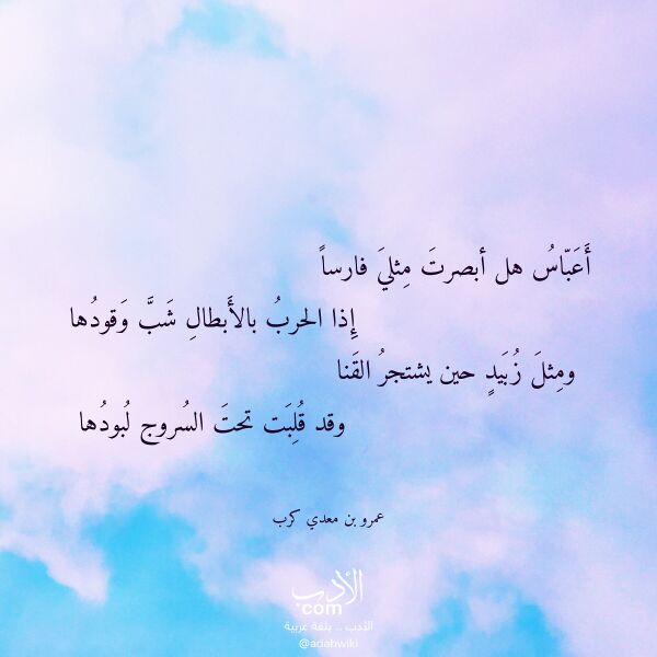 اقتباس من قصيدة أعباس هل أبصرت مثلي فارسا لـ عمرو بن معدي كرب
