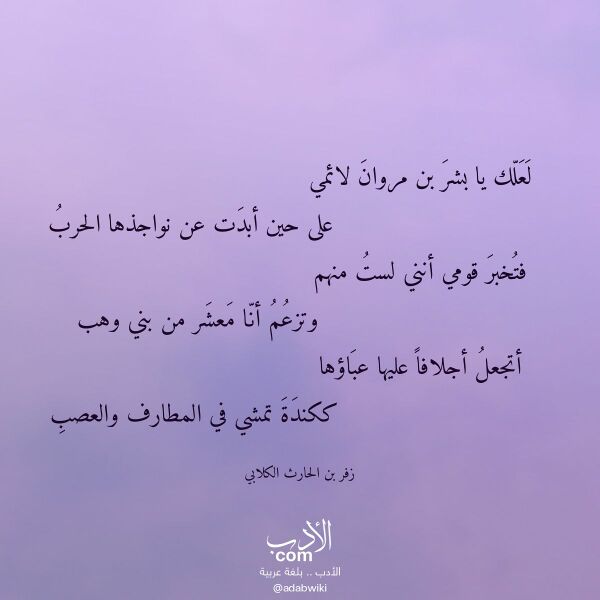 اقتباس من قصيدة لعلك يا بشر بن مروان لائمي لـ زفر بن الحارث الكلابي