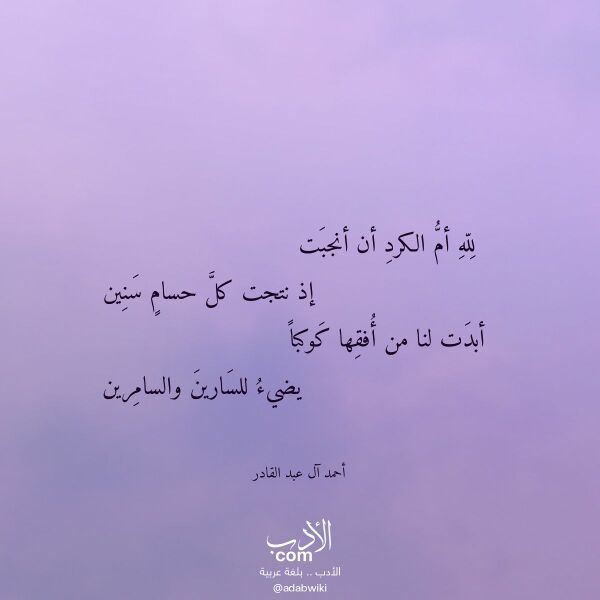 اقتباس من قصيدة لله أم الكرد أن أنجبت لـ أحمد آل عبد القادر