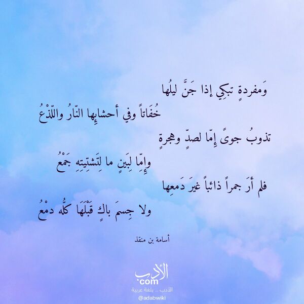 اقتباس من قصيدة ومفردة تبكي إذا جن ليلها لـ أسامة بن منقذ
