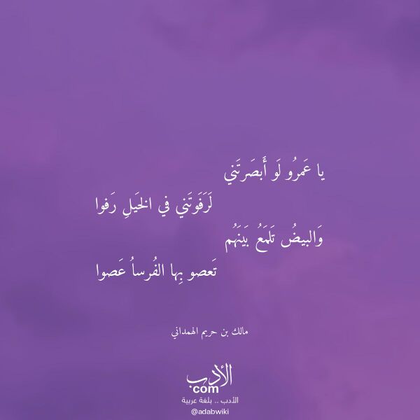 اقتباس من قصيدة يا عمرو لو أبصرتني لـ مالك بن حريم الهمداني