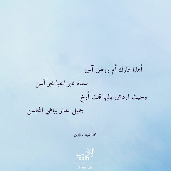 اقتباس من قصيدة أهذا عارك أم روض آس لـ محمد شهاب الدين