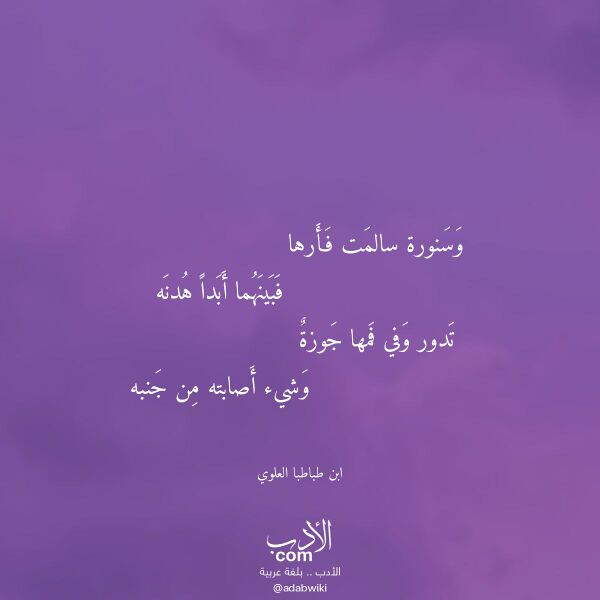 اقتباس من قصيدة وسنورة سالمت فأرها لـ ابن طباطبا العلوي
