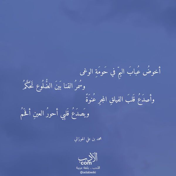 اقتباس من قصيدة أخوض عباب اليم في حومة الوغى لـ محمد بن علي الهوزالي