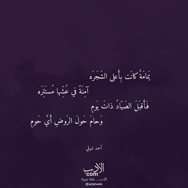 اقتباس من قصيدة يمامة كانت بأعلى الشجره لـ أحمد شوقي