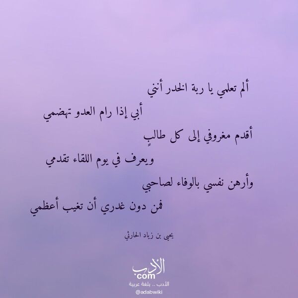 اقتباس من قصيدة ألم تعلمي يا ربة الخدر أنني لـ يحيى بن زياد الحارثي