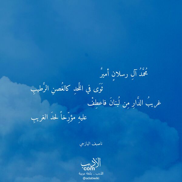 اقتباس من قصيدة محمد آل رسلان أمير لـ ناصيف اليازجي